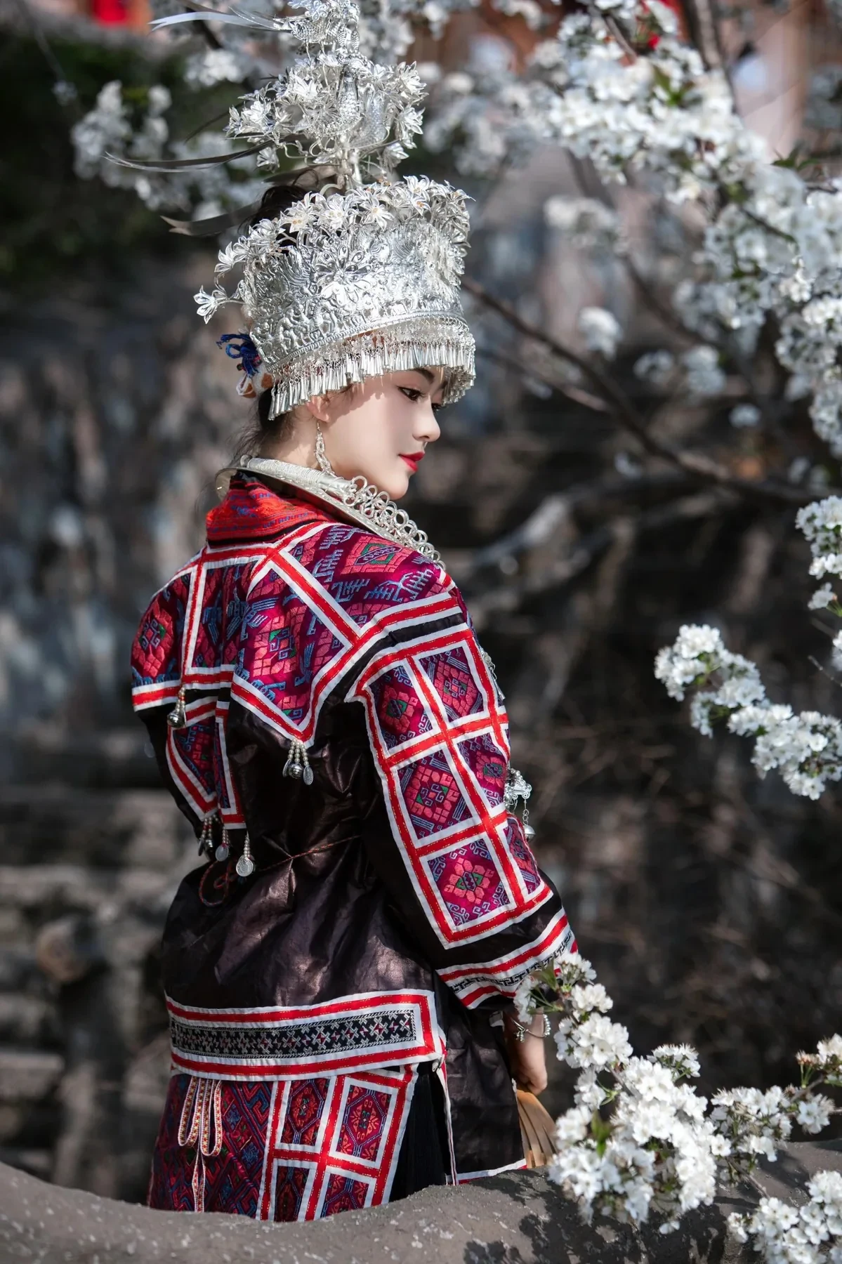 Jianhe Miao traditional dress showing back embroidery detail.